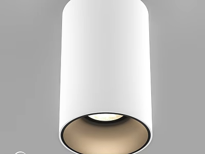 Modern White Cylindrical Ceiling Light with Soft Illumination for Home Decor 3d model