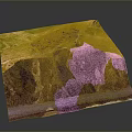 Modern Landscape Display Featuring Green Meadow Coastal Cliff And Path