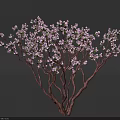 Delicious Dessert Garnished With Purple Flowers And Red Twigs