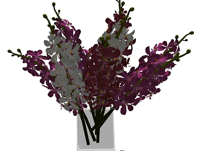 Beautiful Square Glass Vase With Fresh Purple And White Orchids Flowers Arrangement 3d model