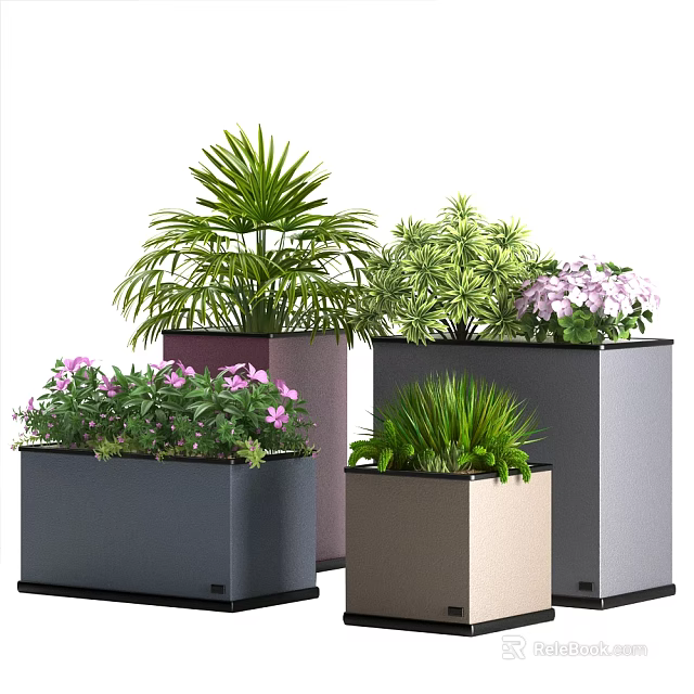 Bonsai Potted Plants Featuring Various Colored Pots and Diverse Green Foliage with Purple Flowers 3d model 