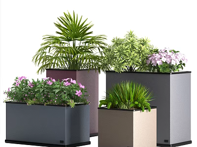 Bonsai Potted Plants Featuring Various Colored Pots and Diverse Green Foliage with Purple Flowers 3d model