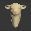 Light Colored Sheep Head With Yellow Eyes Pink Nose And Soft Fur On Gray Background