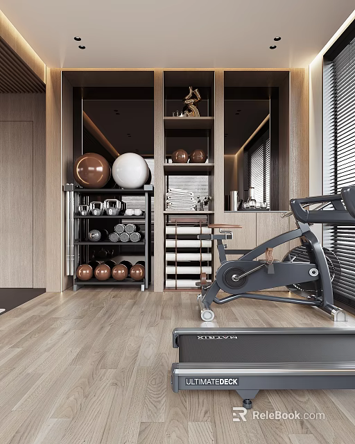 Modern Entertainment Room With Spin Bike Dumbbells Yoga Balls Shelves And Wooden Flooring 3d model 