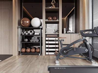 Modern Entertainment Room With Spin Bike Dumbbells Yoga Balls Shelves And Wooden Flooring 3d model