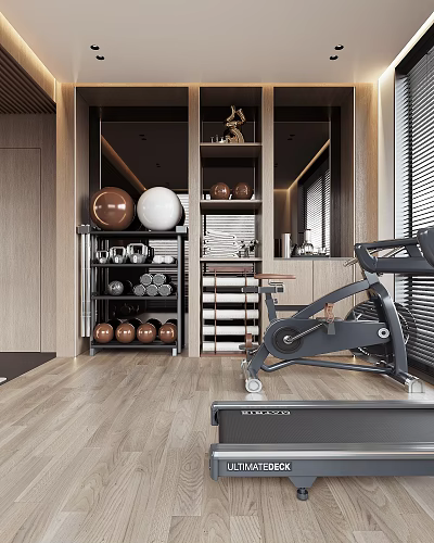 Modern Entertainment Room With Spin Bike Dumbbells Yoga Balls Shelves And Wooden Flooring 3d model