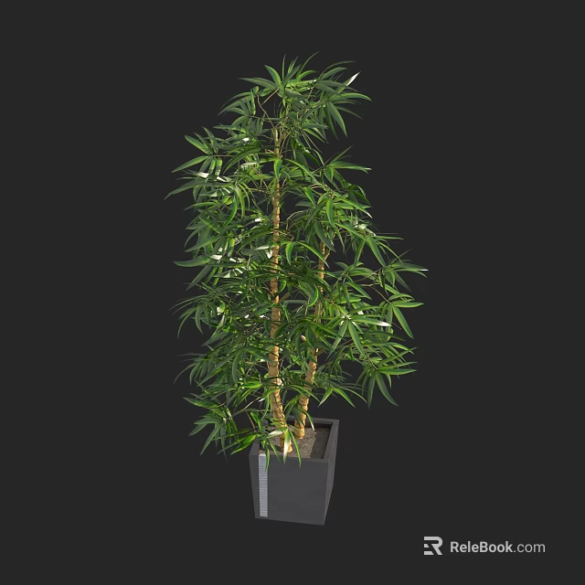 Bonsai Plant with Lush Green Bamboo Leaves in Black Square Pot for Indoor Decor 3d model 