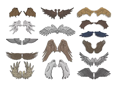 Wings all kinds of birds wings feathers angel demon feather wings flying angel wings black wings material decoration 3d model