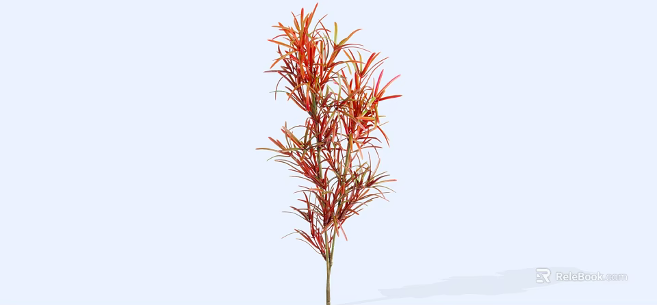 Vibrant Shrub With Red And Green Leaves And Slender Upright Stems 3d model 