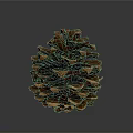 Brown Conical Pine Cone With Scaly Texture On Dark Reflective Background 3d model