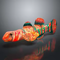 Colorful Striped Fish with Red Green and Orange Patterns and Vibrant Fins on Dark Background