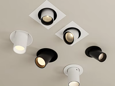 Modern Downlights And Spotlights In White Black Ceiling Mounted Lighting Fixtures 3d model