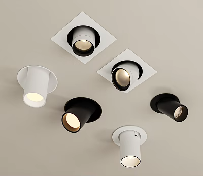Modern Downlights And Spotlights In White Black Ceiling Mounted Lighting Fixtures 3d model