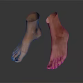 Realistic Human Feet Showing Skin Hair Texture And Toenail Polish Details