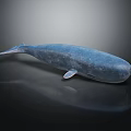 Detailed Blue Whale Figure Displayed on Dark Background with Clear Reflection 3d model