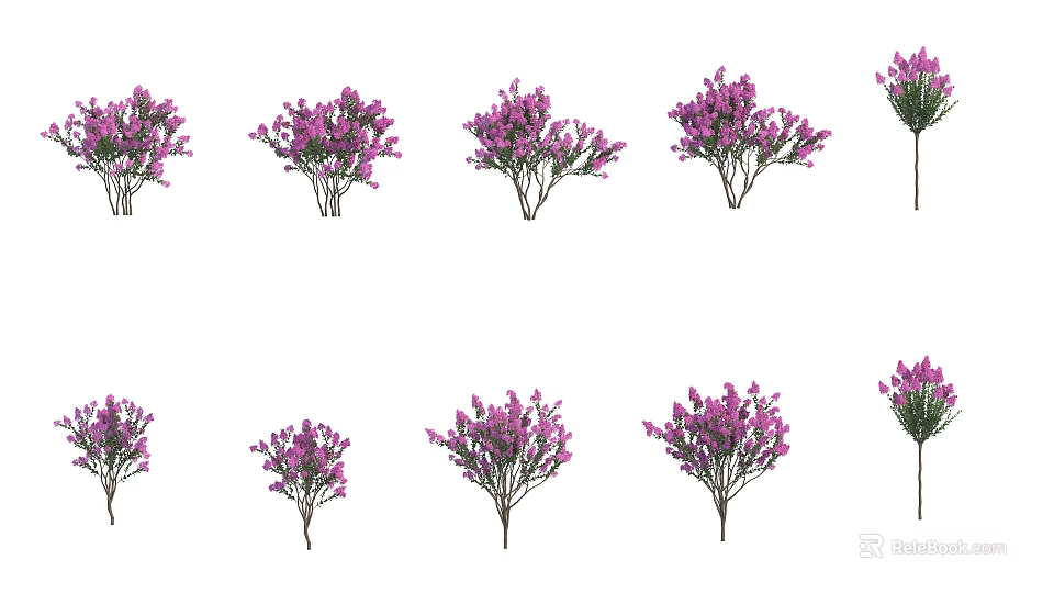 Vibrant Purple Flowering Shrubs Perfect For Garden Landscaping And Decor 3d model 
