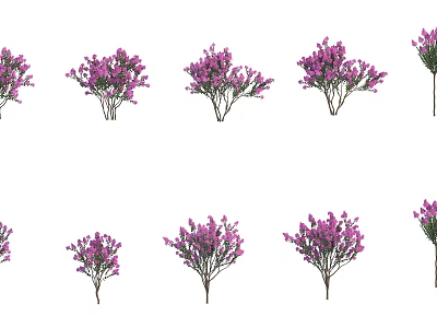 Vibrant Purple Flowering Shrubs Perfect For Garden Landscaping And Decor 3d model