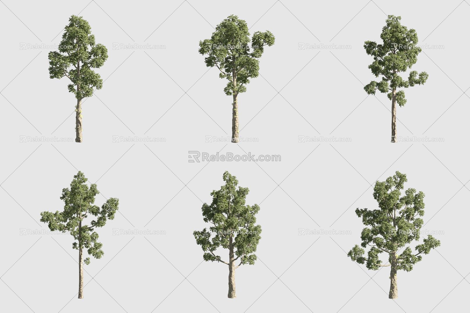 shellfish tree landscape tree 3d model