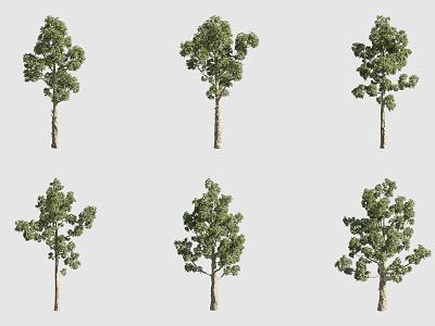 shellfish tree landscape tree 3d model