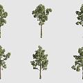 shellfish tree landscape tree 3d model