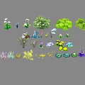 Various Colorful Garden Flowers And Different Green Plants Collection For Decoration