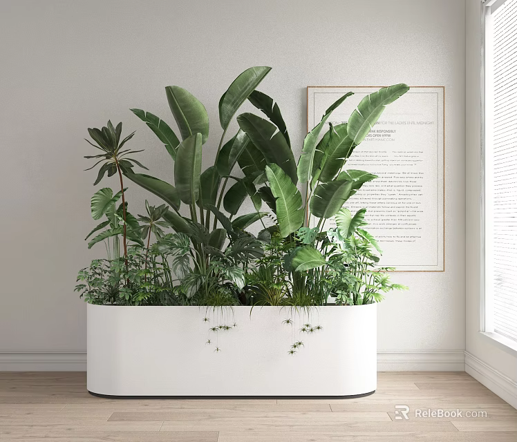 Indoor Bonsai Potted Plants in White Rectangular Planter with Large Green Leaves and Wall Art 3d model 
