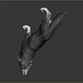Detailed Realistic Wolf Sculpture Howling While Running On Dark Gray Background