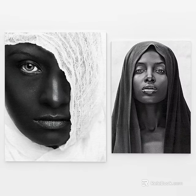 Black and White Female Portrait Paintings with Headscarf Lace and Facial Features 3d model 