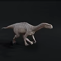 Grey Dinosaur 3D Model With Long Neck And Four Legs On Black Background 3d model