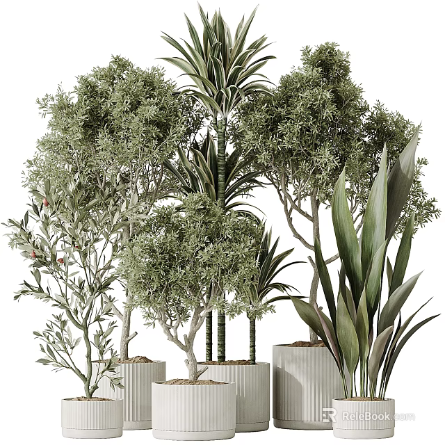 Various Green Bonsai Potted Plants Featuring Tree like and Broad Leaved Foliage in Modern Pots 3d model 