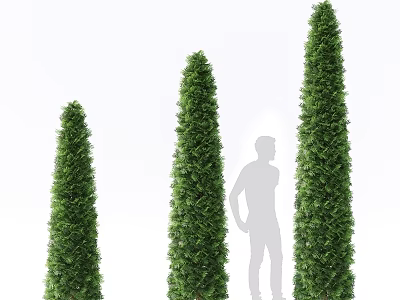 Tall Cone Shaped Green Garden Decor Plants With Human Figure For Scale 3d model