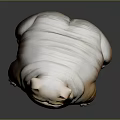 Chubby Brown And White Bulldog With Wrinkled Skin On Dark Smooth Surface