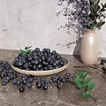 Fresh Blueberries in Bowl with Scattered Berries and Green Foliage in Vase on Gray Surface