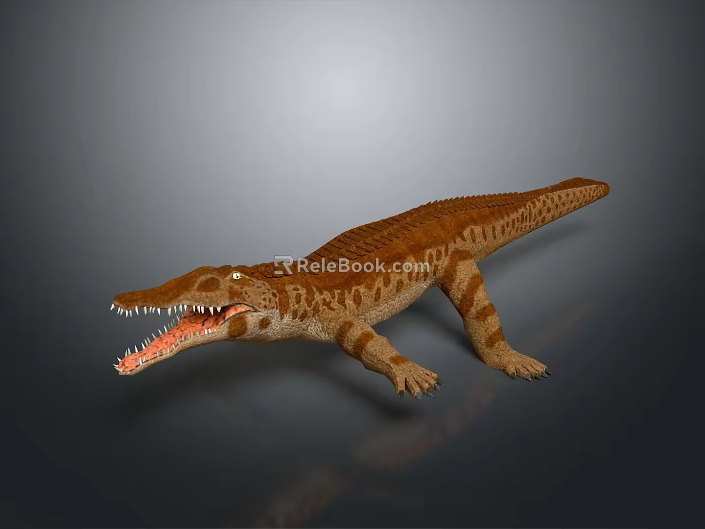 Modern Crocodile Alligator Nile Crocodile carnivore 3d model