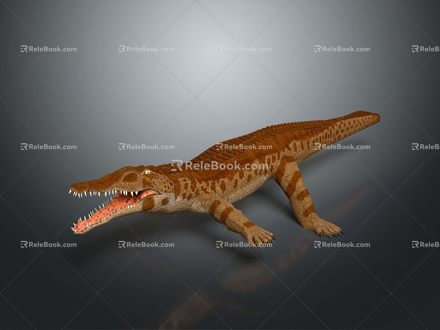 Modern Crocodile Alligator Nile Crocodile carnivore 3d model