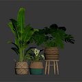 Lush Green Banana Leaf and Monstera Plants in Woven Planters on Wooden Stool