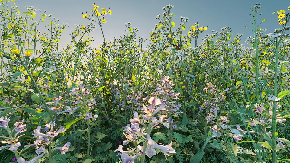 Lush Flowering Shrubs With Purple And Yellow Blooms In Sunlit Natural Garden 3d model 