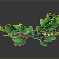Stylish Decorative Branch With Green Leaves Red Berries And White Stem