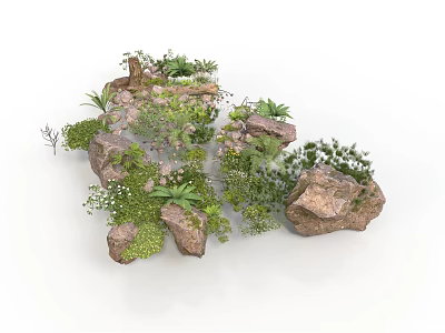Modern Rock Garden Landscape With Various Plants And Green Mossy Stones 3d model
