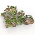 Modern Rock Garden Landscape With Various Plants And Green Mossy Stones