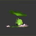 Frog And Baby Frog On Lotus Leaf With Pink Lotus Flowers And Raindrops Over Water