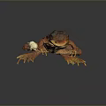 Detailed 3D Frog Model Displaying Organ Structures And Skin Texture Features