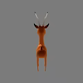 Orange Brown Reptile With Long White Horns In 3D Model Standing Pose On Grey Background