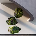 Console Table Featuring Hanging Green Moss Balls Gray Curved Structure Pale Wall and Lighting Shadows