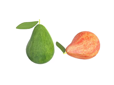 Pear Fruit 3d model