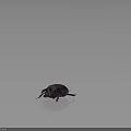 Purple Beetle With Shiny Exoskeleton Long Legs And Antennae On Dark Background