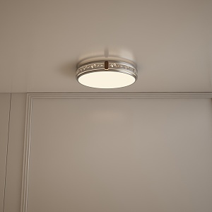 Simple ceiling lamp 3d model