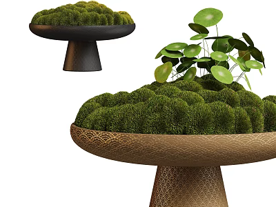 Decorative Bonsai Plant Pot with Moss and Leafy Green Plants on Textured Black Brown Pedestals 3d model