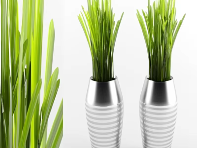 Fresh Green Bonsai Potted Plants in Silver Striped Vases for Indoor Decor 3d model