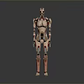 Humanoid Robot With Mechanical Body And Internal Biological Organs Standing In Gray Background